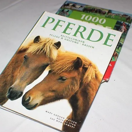 Reiterhof Könning Bauernhof Freren